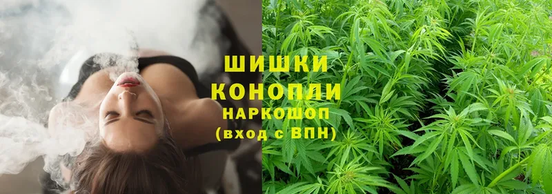 купить наркотик  Анжеро-Судженск  кракен вход  Марихуана OG Kush 